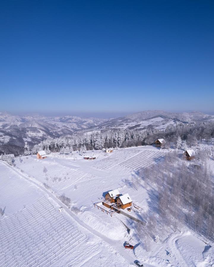 Cortina Resort Ivanjica Buitenkant foto